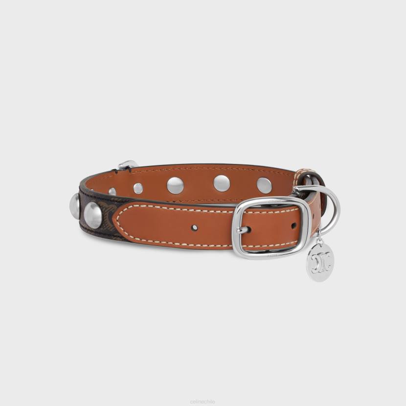 accesorios CELINE collar para perros mediano grande de lona Triomphe y piel de becerro con tachuelas broncearse hombres NL481739