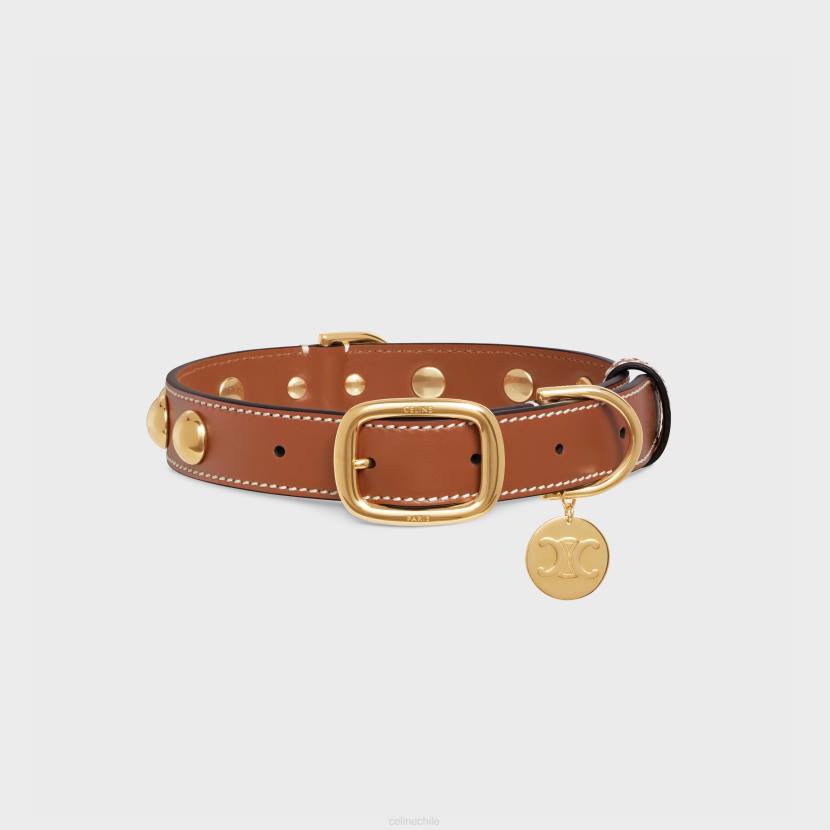 accesorios CELINE collar para perros mediano y ancho de piel de becerro lisa con tachuelas broncearse hombres NL481760