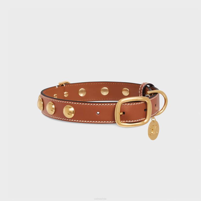 accesorios CELINE collar para perros mediano y ancho de piel de becerro lisa con tachuelas broncearse hombres NL481760