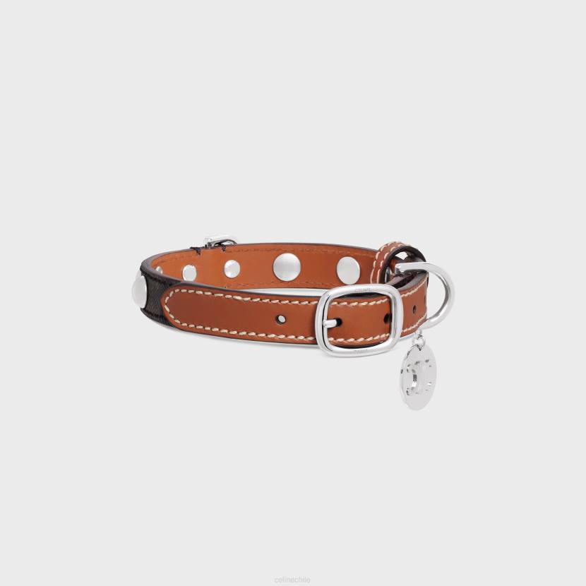 accesorios CELINE collar para perros pequeño y fino de lona Triomphe y piel de becerro con tachuelas broncearse hombres NL481738