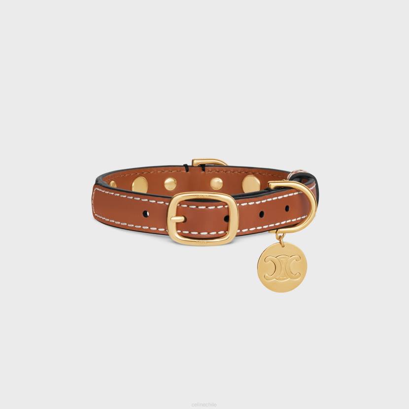 accesorios CELINE collar para perros pequeño y fino de lona Triomphe y piel de becerro con tachuelas broncearse hombres NL481752
