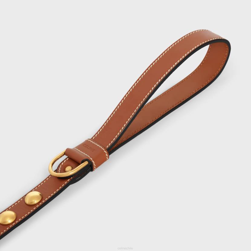 accesorios CELINE Correa ancha para perros de piel de becerro lisa con tachuelas broncearse hombres NL481762