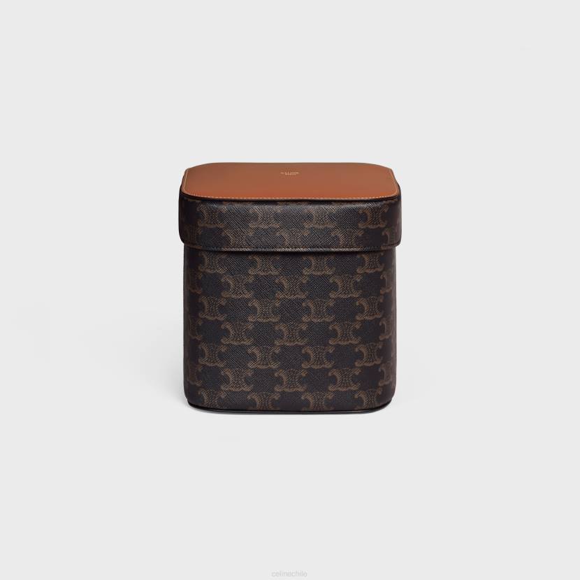 accesorios CELINE caja grande de lona Triomphe y piel de becerro broncearse hombres NL481536