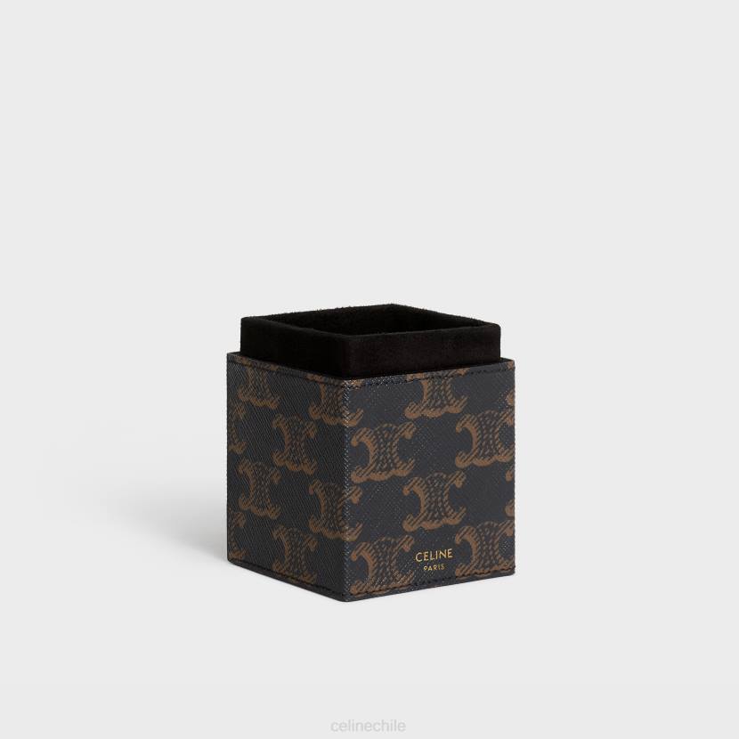 accesorios CELINE estuche 1 perfume 100ml en lona triomphe y piel de becerro broncearse hombres NL481558