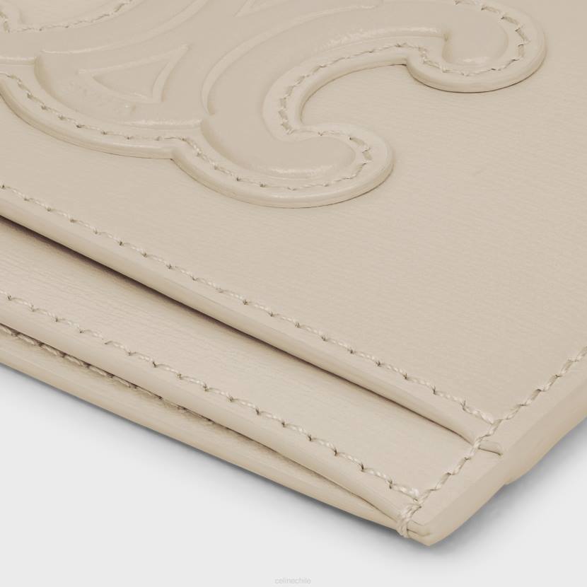 accesorios CELINE tarjetero cuir triomphe de piel de becerro brillante piedra ligera mujer NL48430